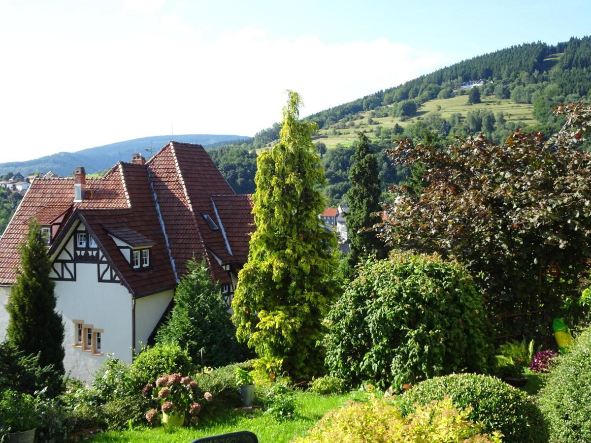 Ferienwohnung Panorama Rauenstein ภายนอก รูปภาพ