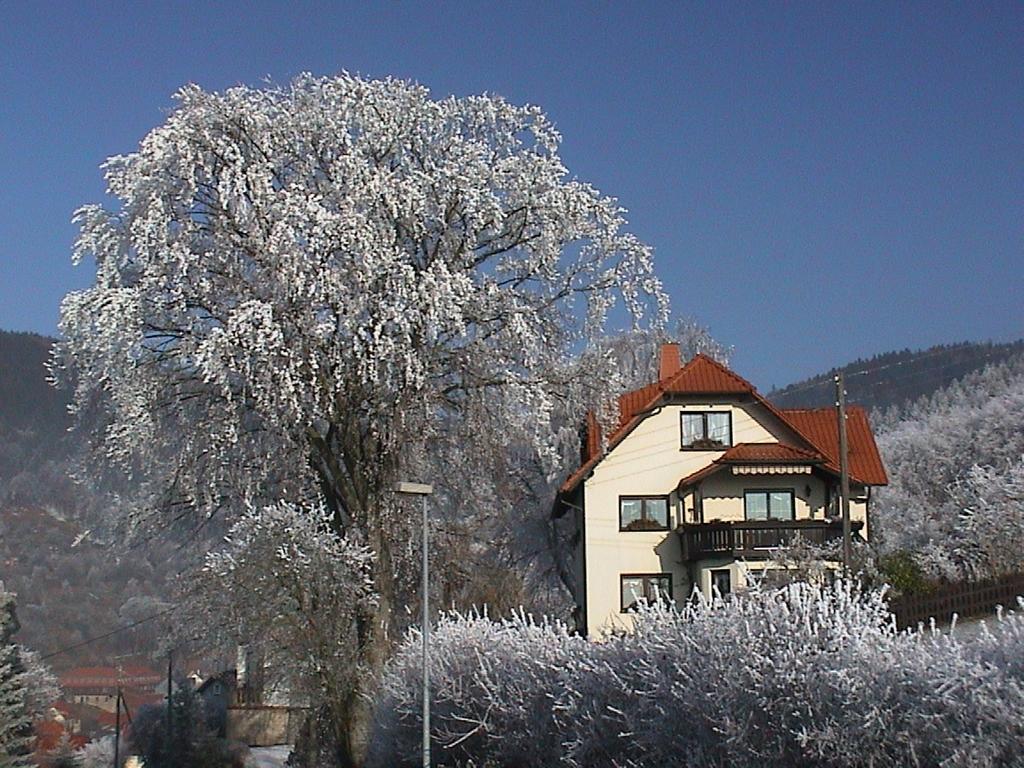 Ferienwohnung Panorama Rauenstein ภายนอก รูปภาพ