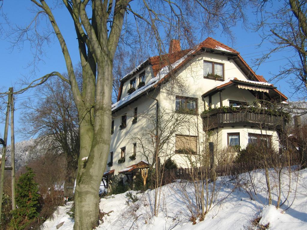 Ferienwohnung Panorama Rauenstein ภายนอก รูปภาพ