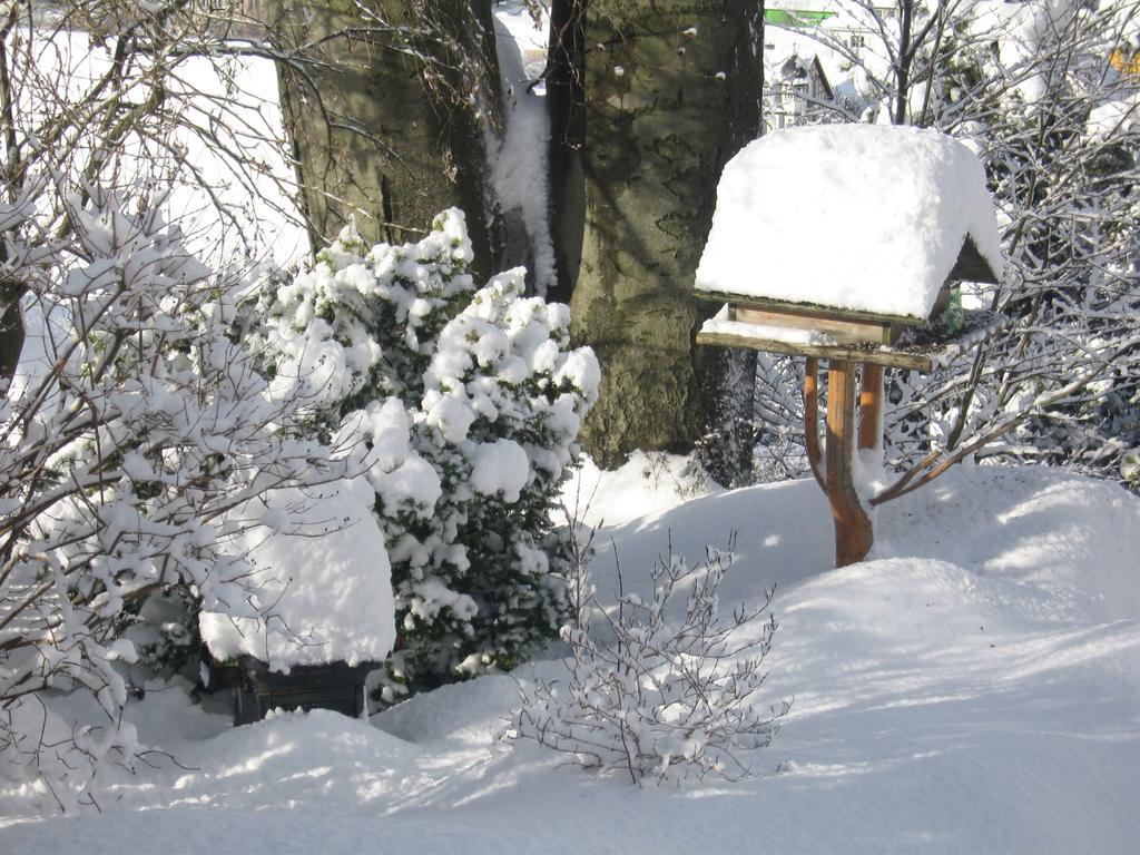 Ferienwohnung Panorama Rauenstein ภายนอก รูปภาพ