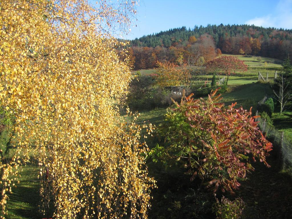 Ferienwohnung Panorama Rauenstein ภายนอก รูปภาพ