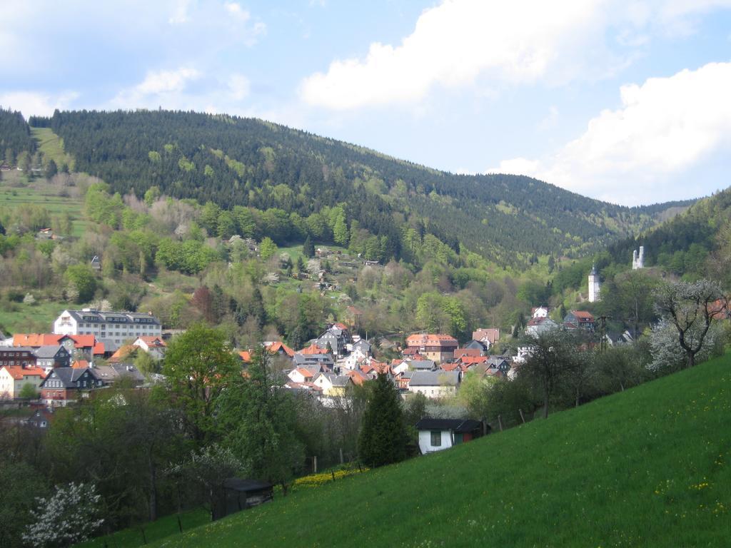 Ferienwohnung Panorama Rauenstein ภายนอก รูปภาพ