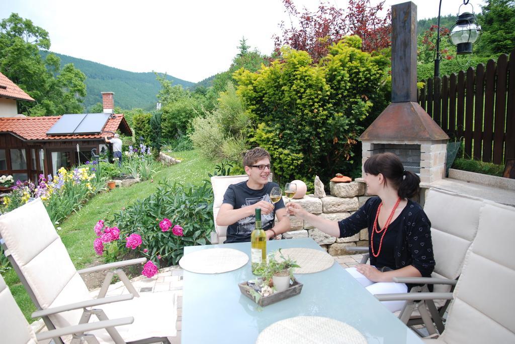 Ferienwohnung Panorama Rauenstein ภายนอก รูปภาพ