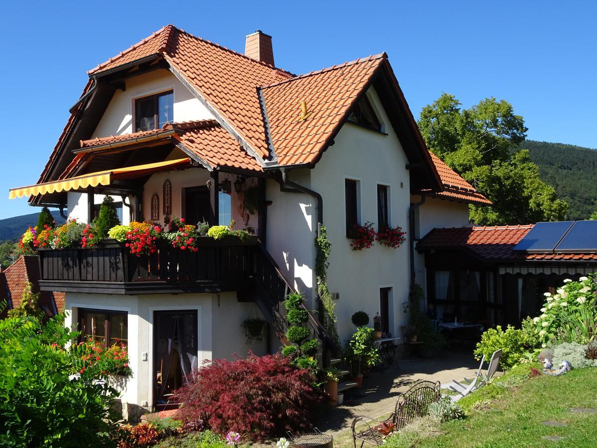 Ferienwohnung Panorama Rauenstein ภายนอก รูปภาพ